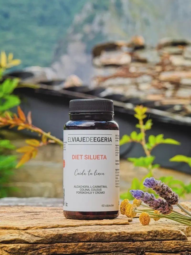 ELVIAJEDEEGERIA DIET SILUETA 60 CÁPSULAS