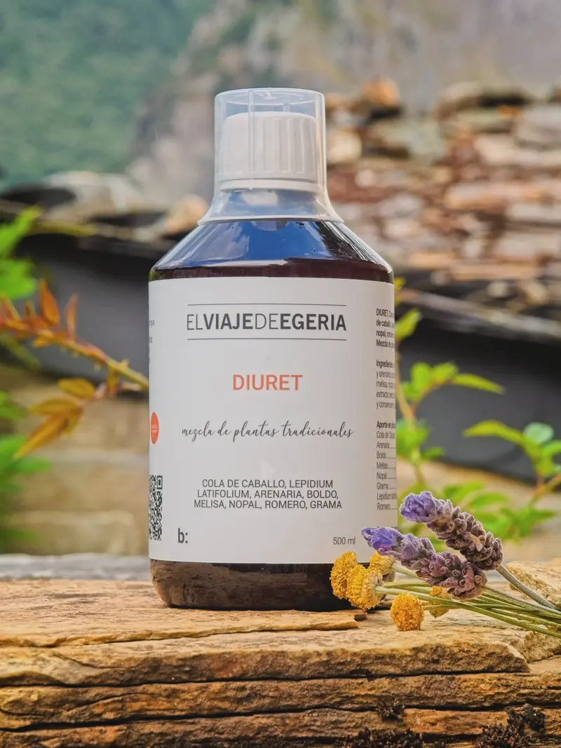 ELVIAJEDEEGERIA DIURET 500ML