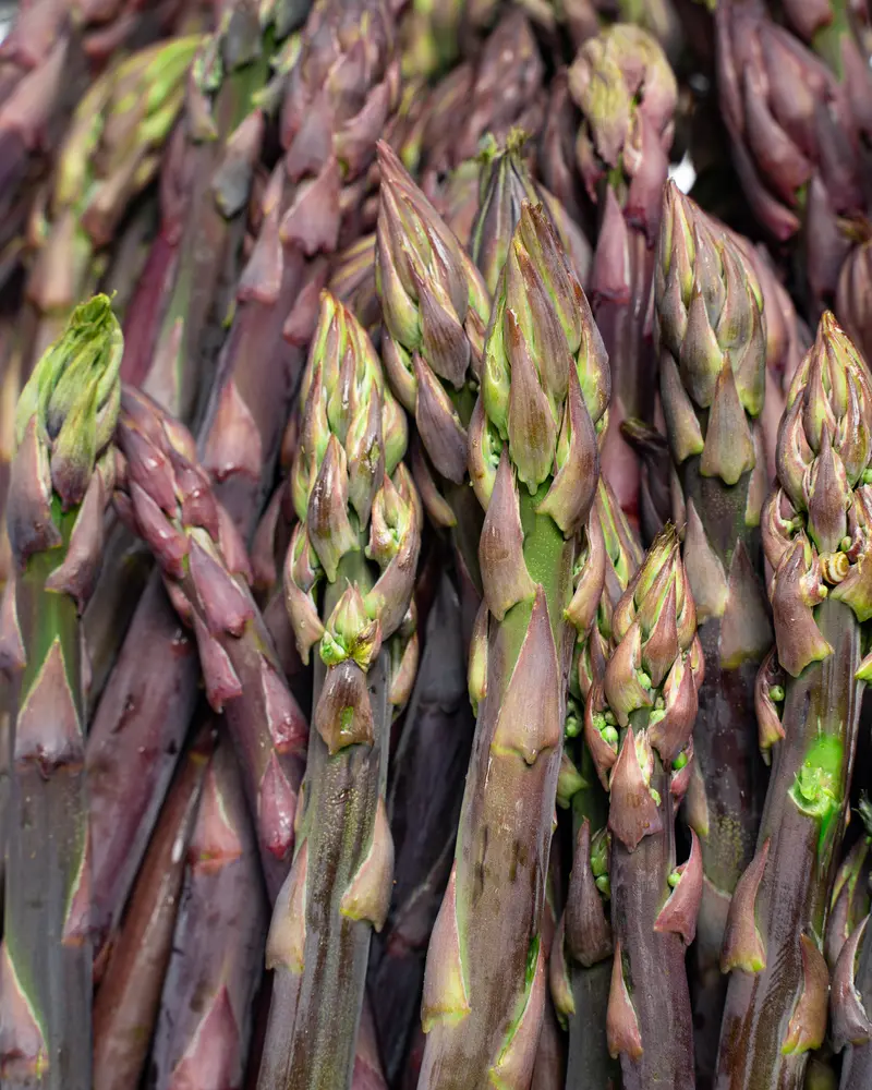 Espárragos Púrpura 500 g