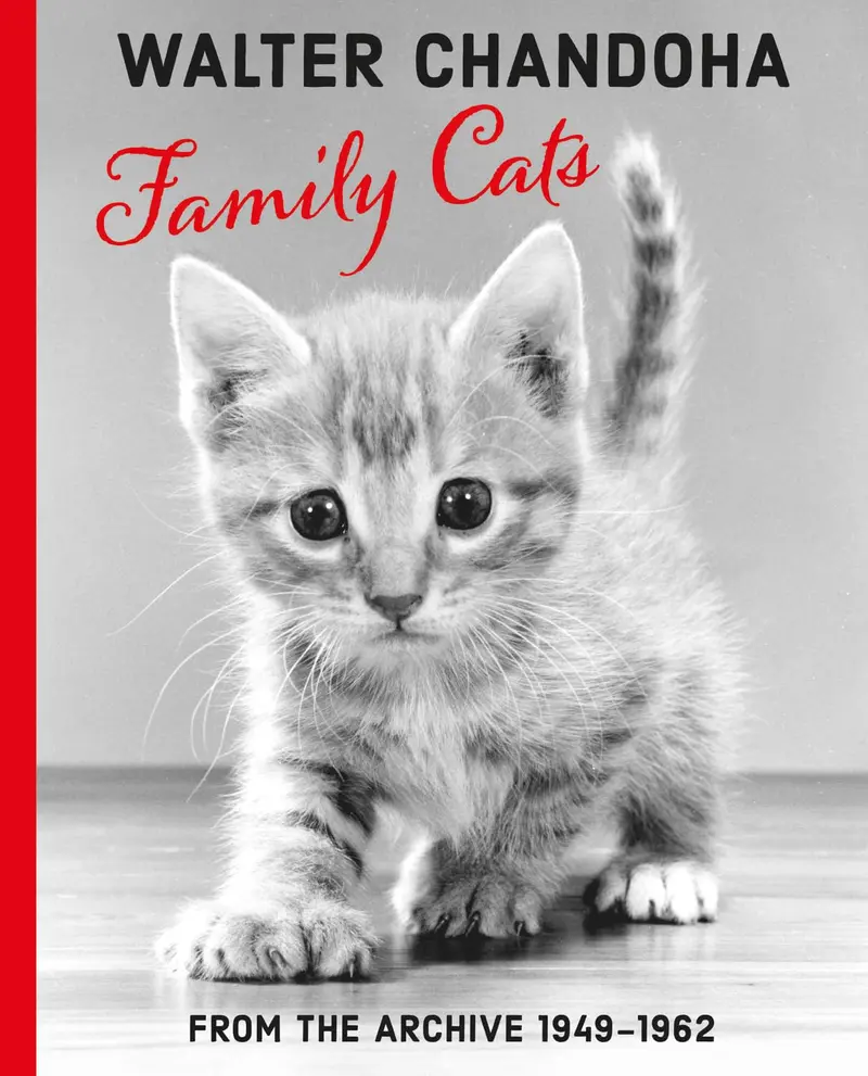 Family Cats - Walter Chandoha