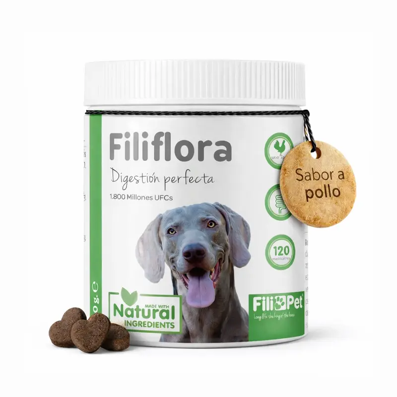 Filiflora (Probiótico para perros)