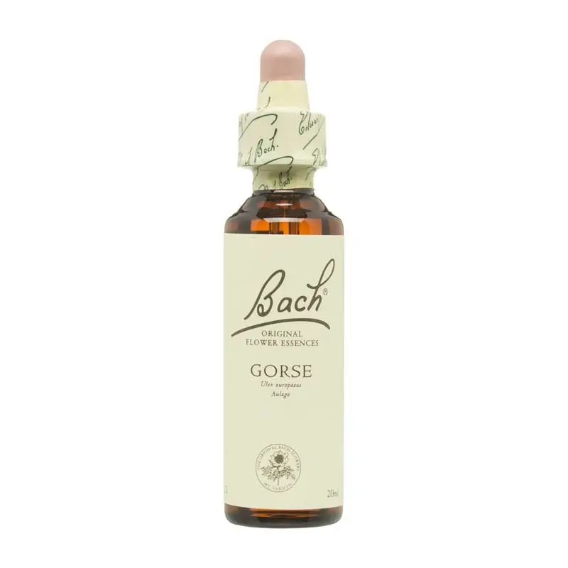 Flor nº 13 Gorse 20ml Bach