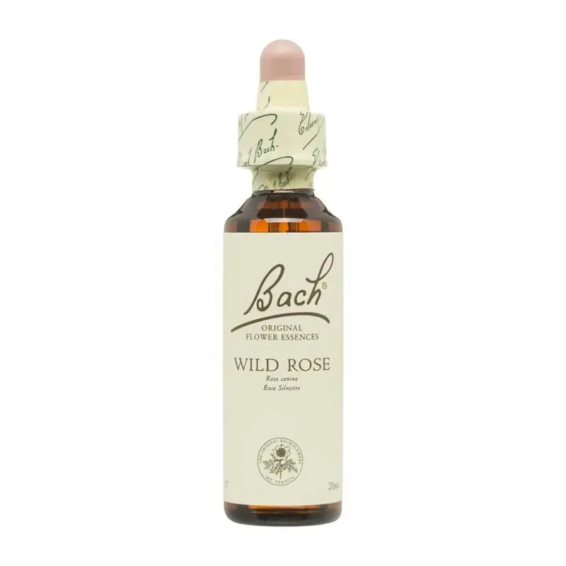 Flor nº 37 Wild Rose 20ml Bach