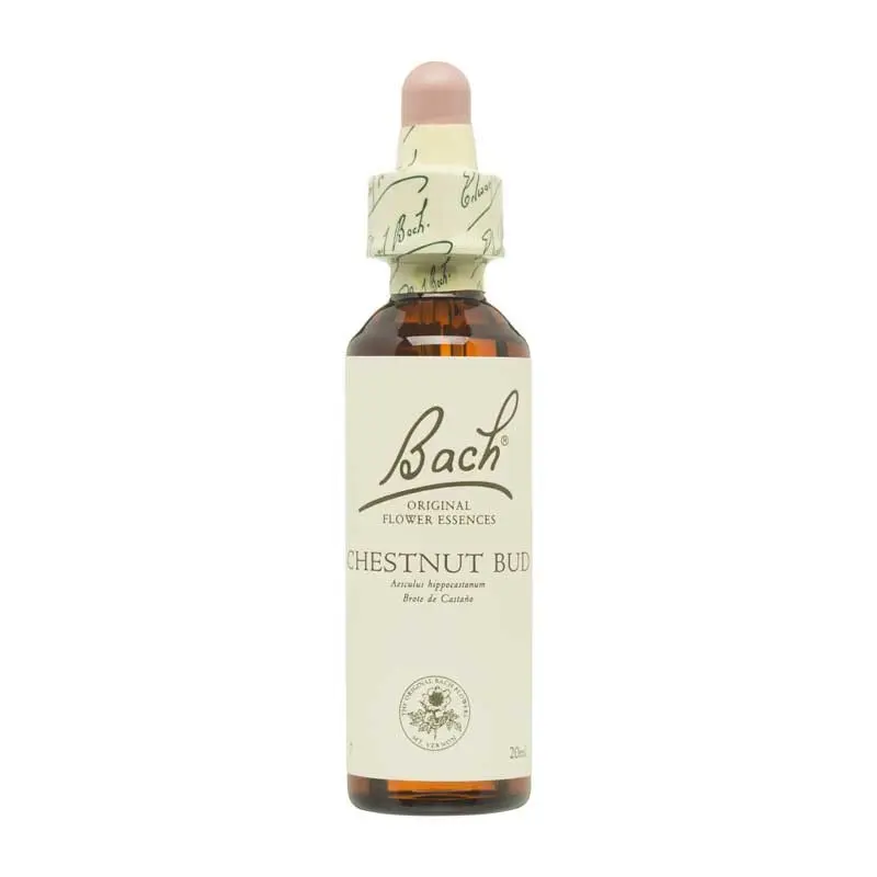 Flor nº 7 Chestnut Bud 20ml Bach