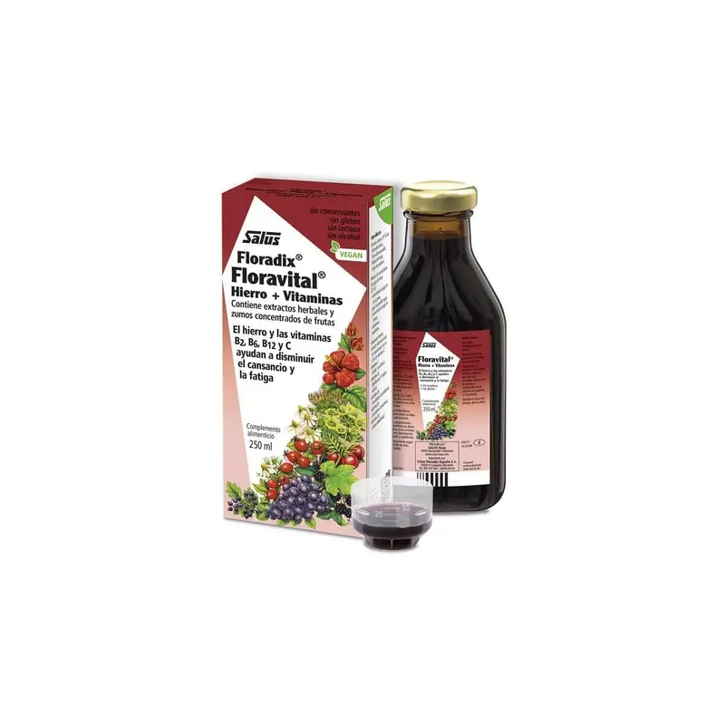 Floravital Hierro Floradix Vegano - 250 ml - Salus