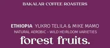 forest fruits