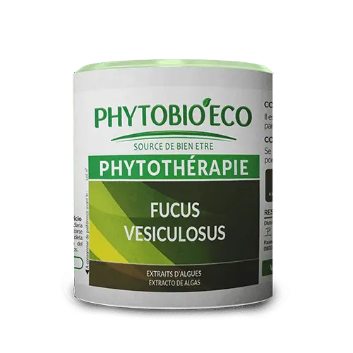 Fucus vésiculosus
