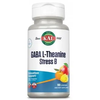 Gaba L-Theanine Stress B 100 comprimidos masticables