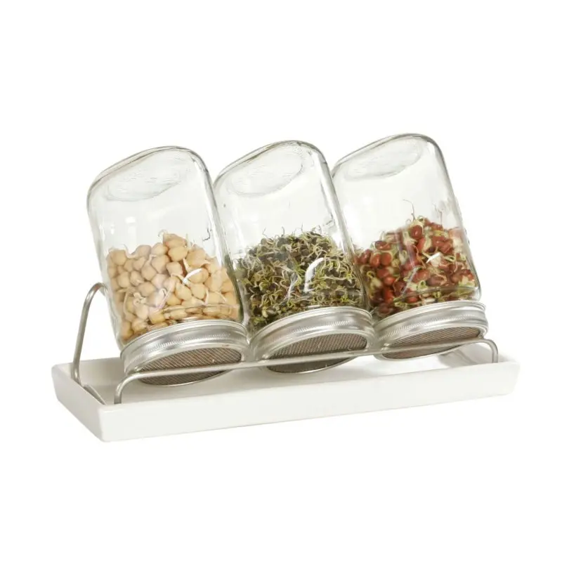 GERMINADOR DE 3 TARROS