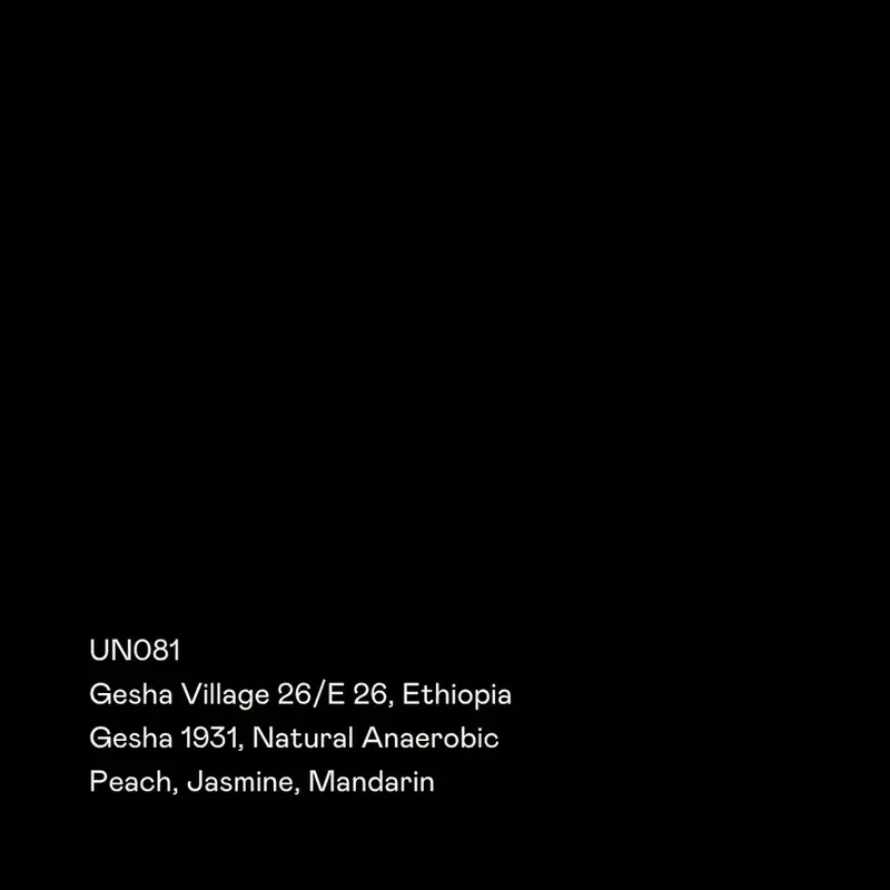Gesha Village Lot 26/E-26 - Ethiopia {Natural Anaerobic}