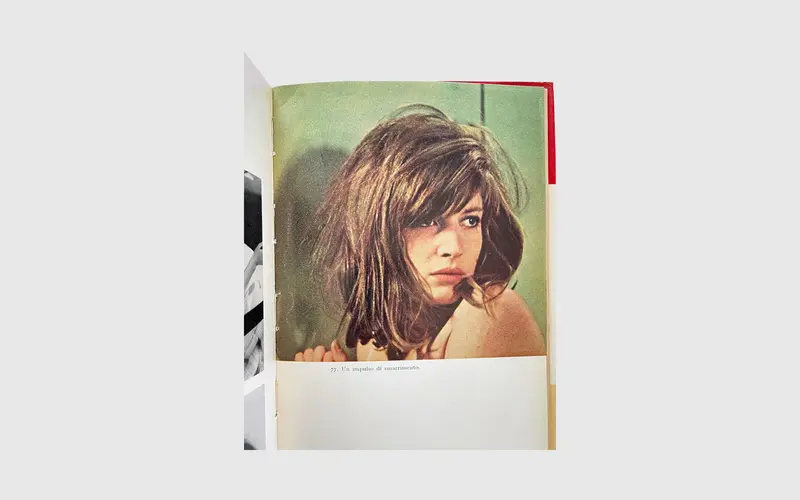 Il Deserto Rosso di Michelangelo Antonioni