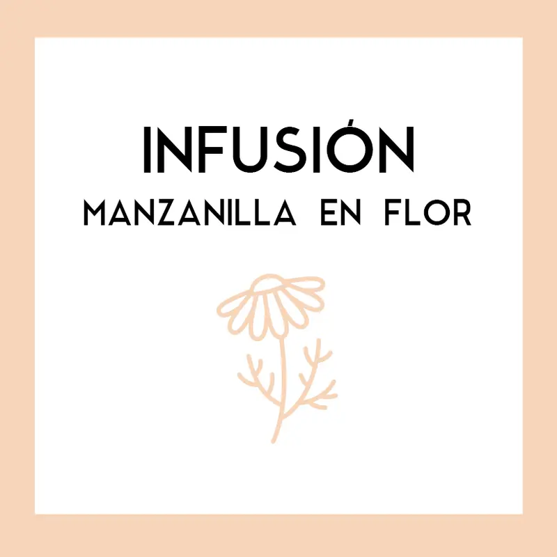 Infusión Manzanilla