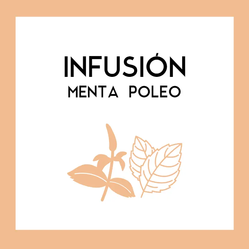 Infusión Menta Poleo