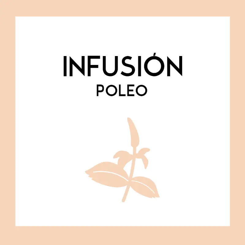 Infusión Poleo