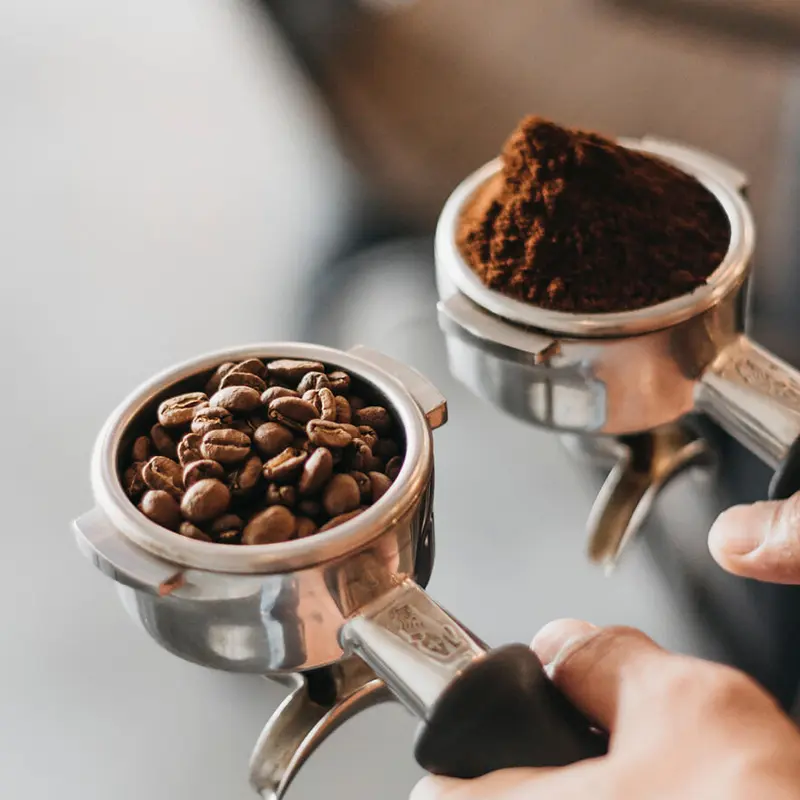 Introducción al mundo del café