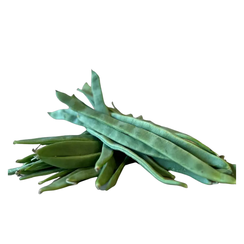 Judías verdes frescas