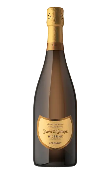 Juvé & Camps Milesimé Chardonnay