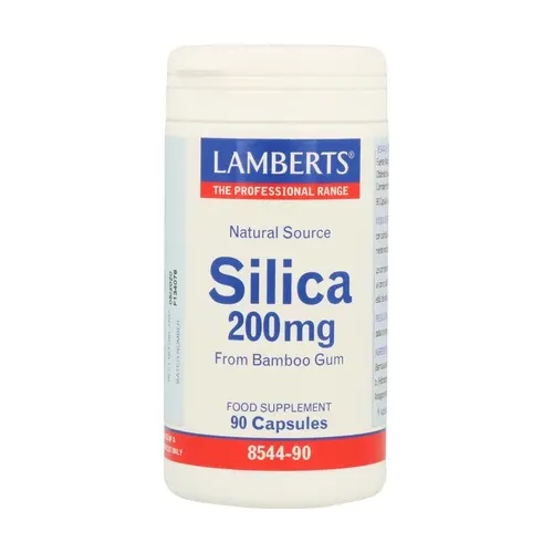 Lamberts Silica 200 mg 90 cápsulas
