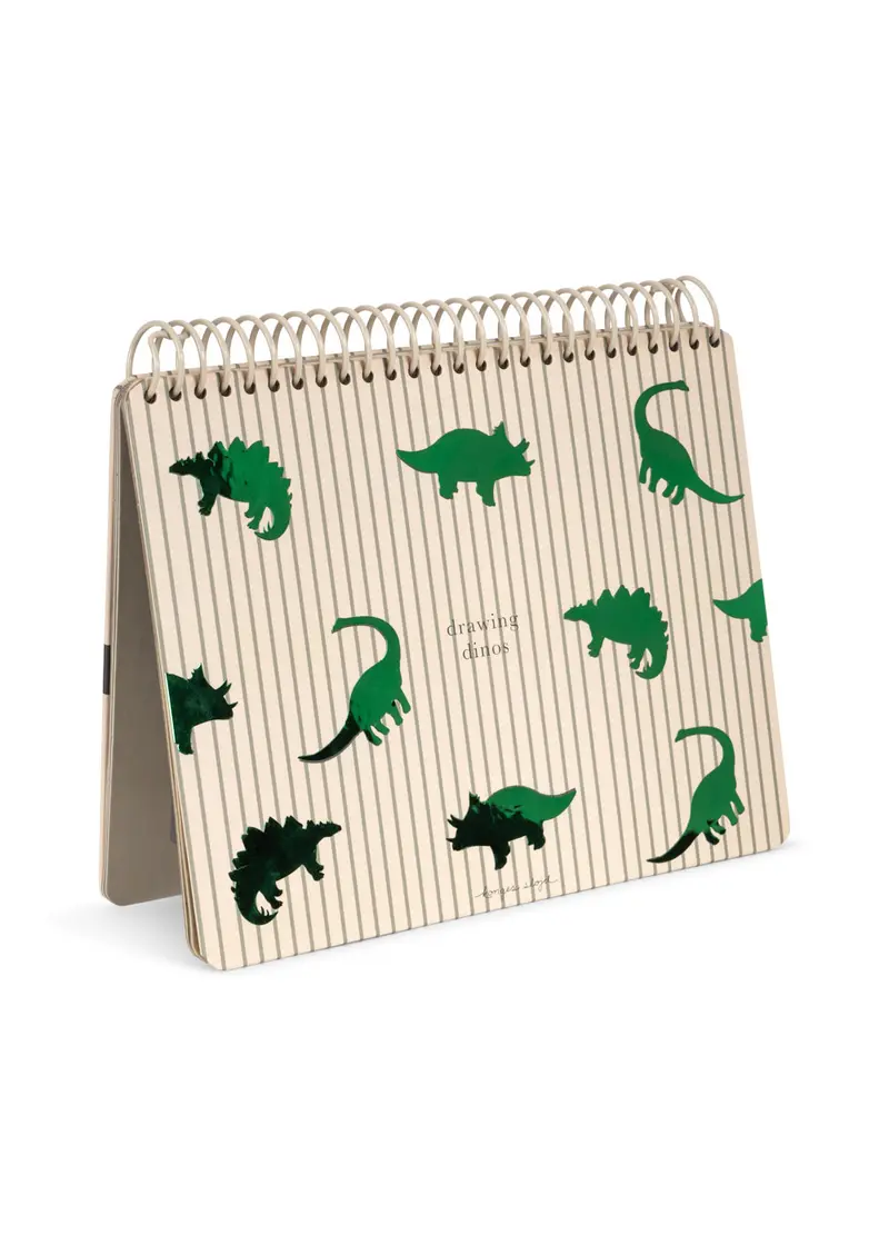 Libro mágico del agua- Dinosaurio