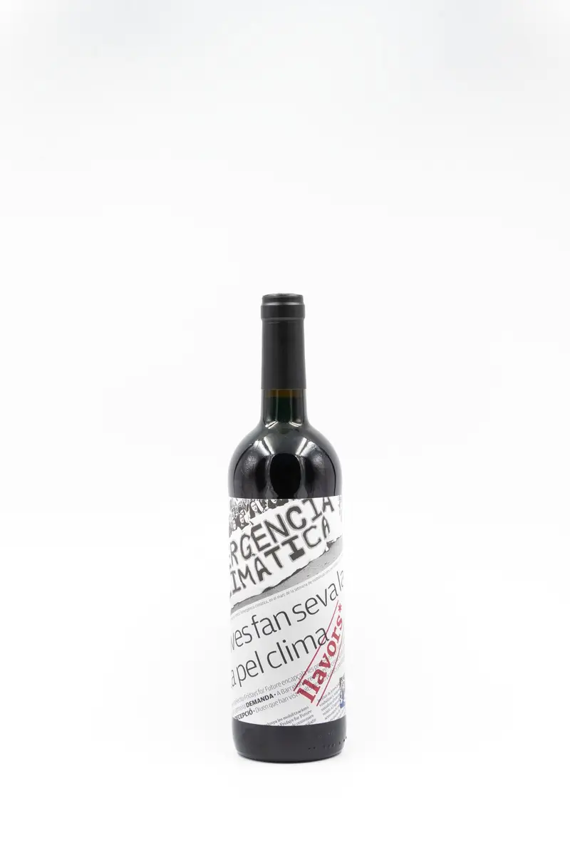 Llavors Negre 2020