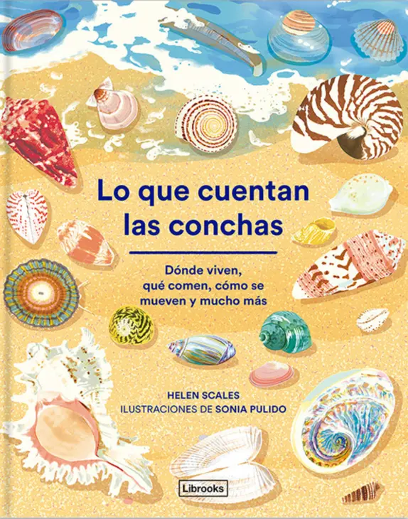 Lo que cuentan las conchas