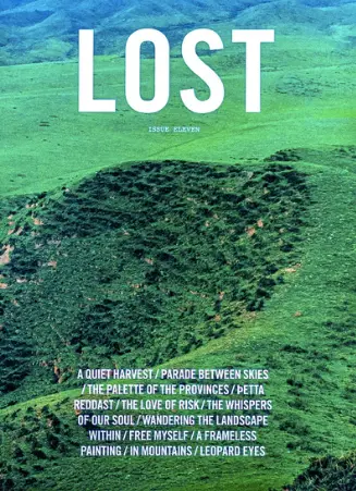 Lost #11