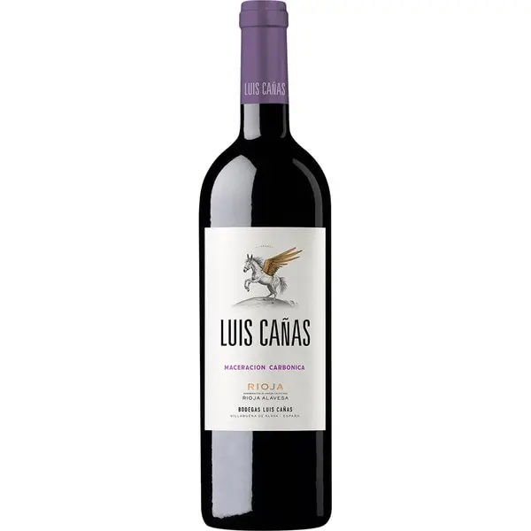Luis Cañas Joven