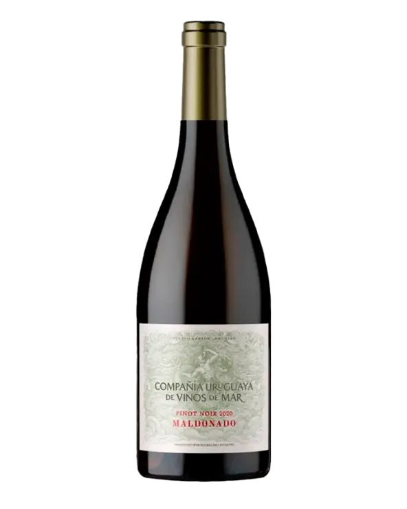 Maldonado Pinot Noir Uruguay