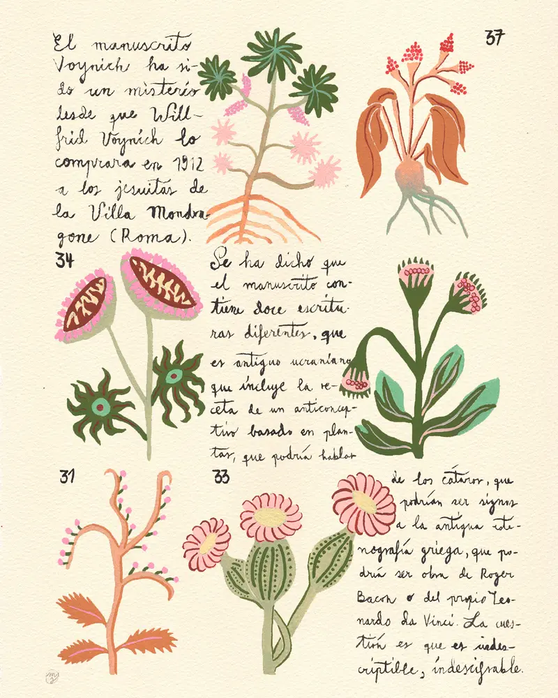 Manuscrito Voynich Nº2 - Marina Siero