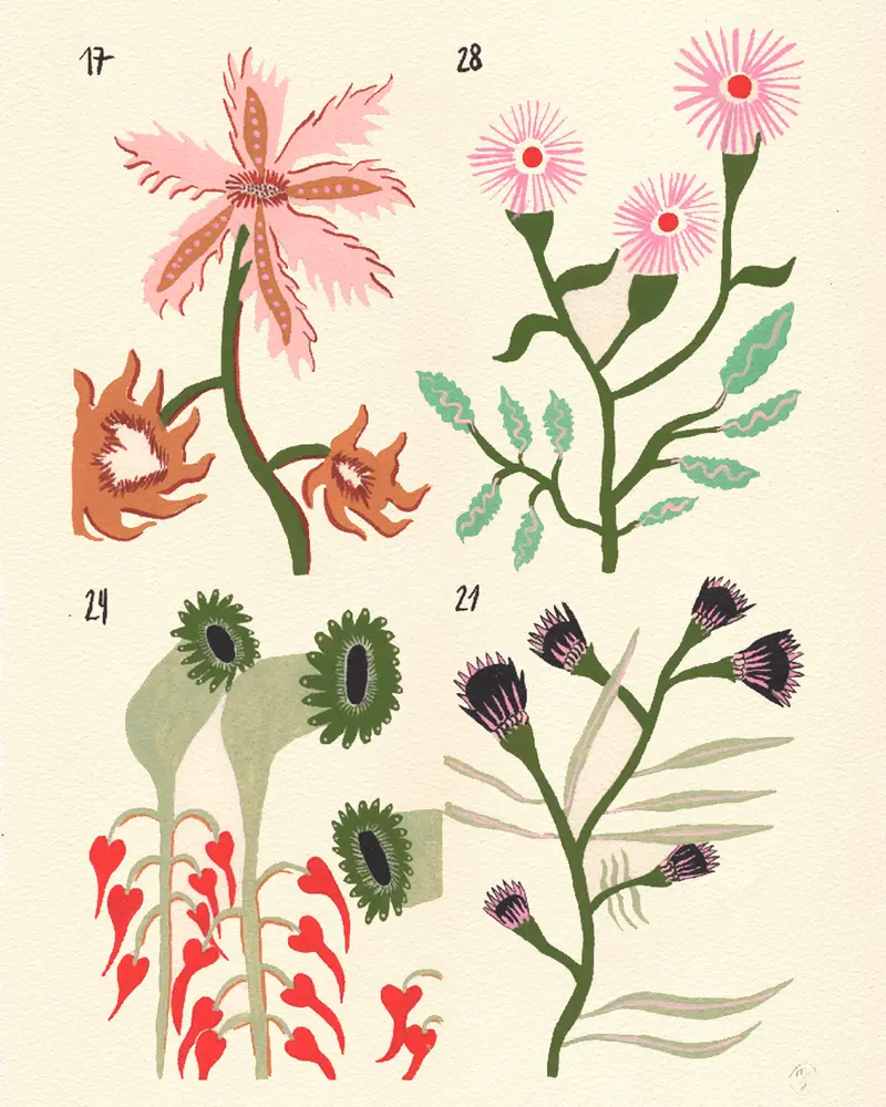 Manuscrito Voynich Nº3 - Marina Siero