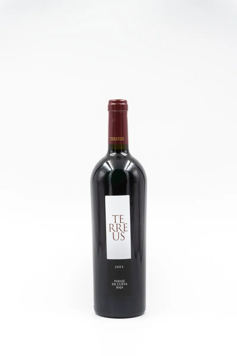 Mauro Terreus 2003