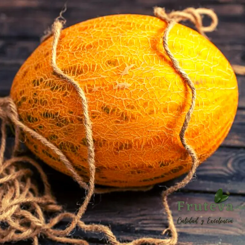 Melón canario