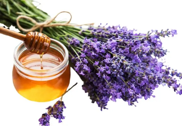 Miel Lavanda Bote cristal 480 gr