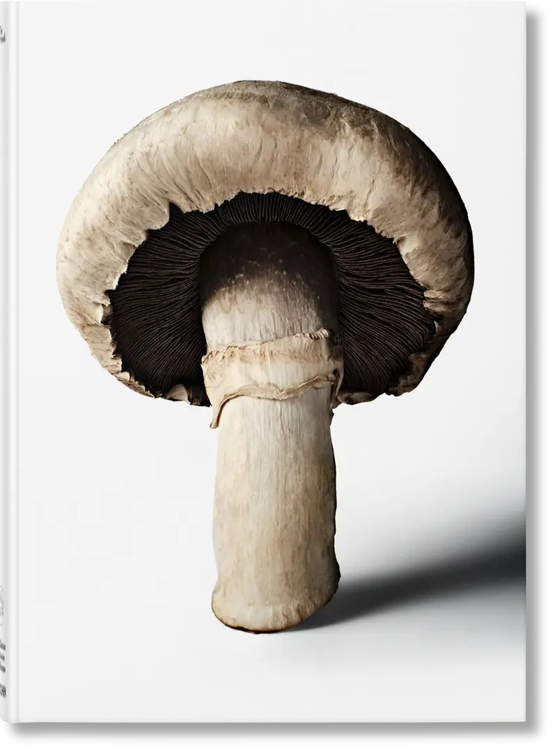 Mushroom - The Gourmand