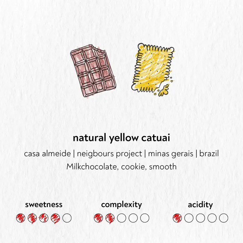 Natural Yellow Catuai - Brazil {Natural}