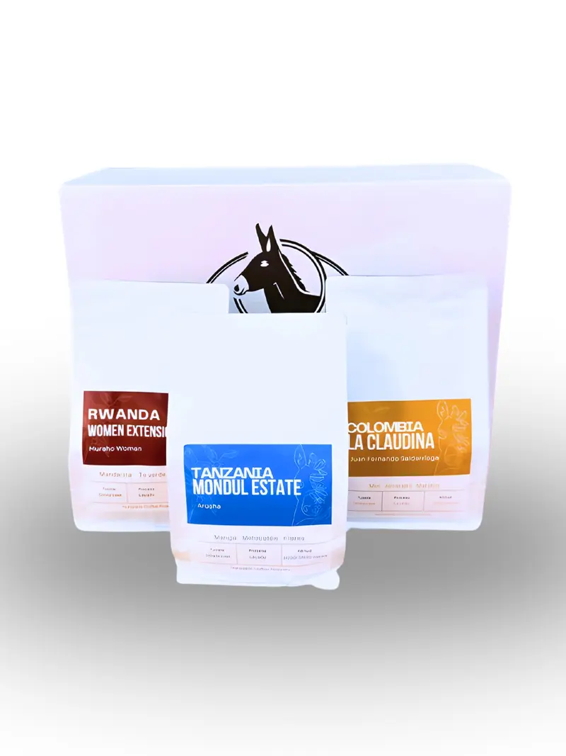 Pack Explorador