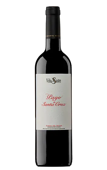 Pago de Santa Cruz - Viña Sastre
