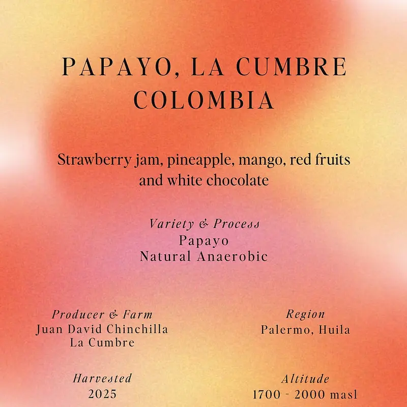 Papayo La Cumbre - Colombia {Natural Anaerobic - OMNI}