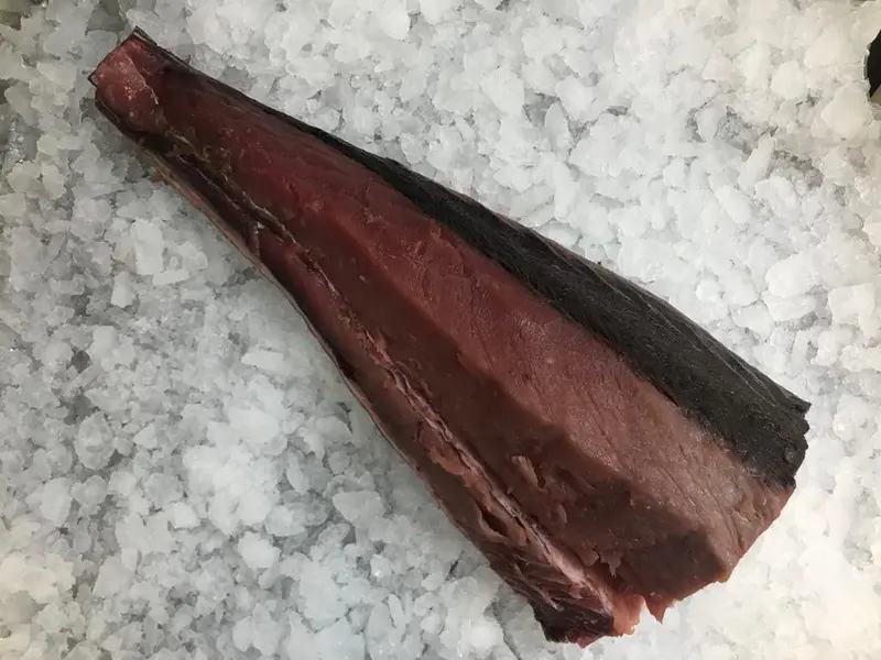 Patudo o Atún de Ojo Grande o Patudo del Atlántico (Tuna)