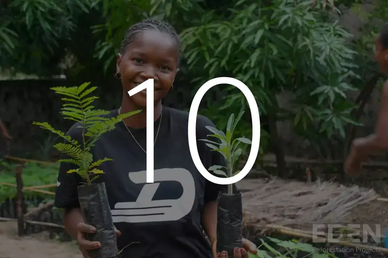 Plant 10 Trees With Eden Reforestation Projects