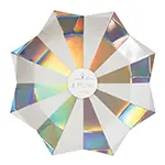 Platos grandes star burst