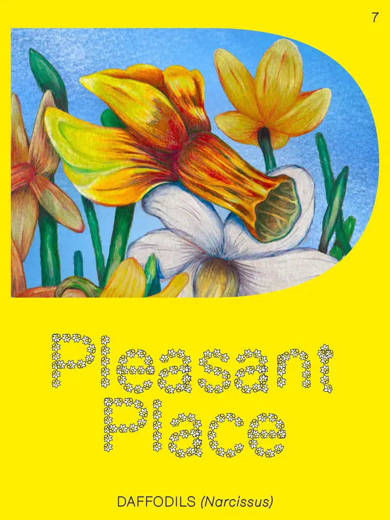 Pleasant Place 7