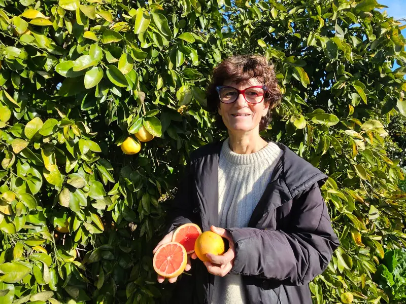 Pomelo Rojo de Cecilia