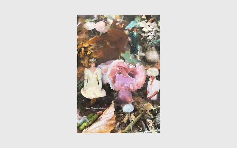 Princess Diana as mushrooms Vol. I