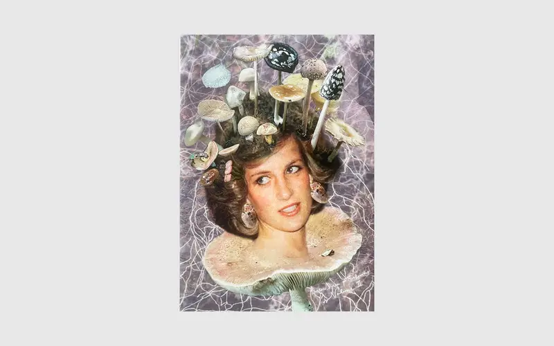 Princess Diana as mushrooms Vol. II
