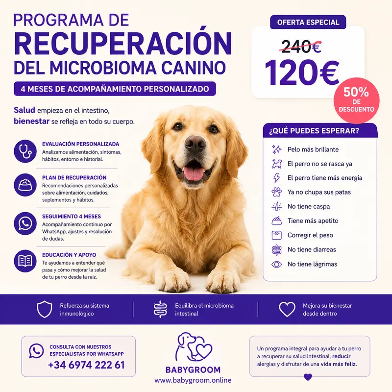 Programa de Recuperación del Microbioma Canino | 4 Meses de Seguimiento