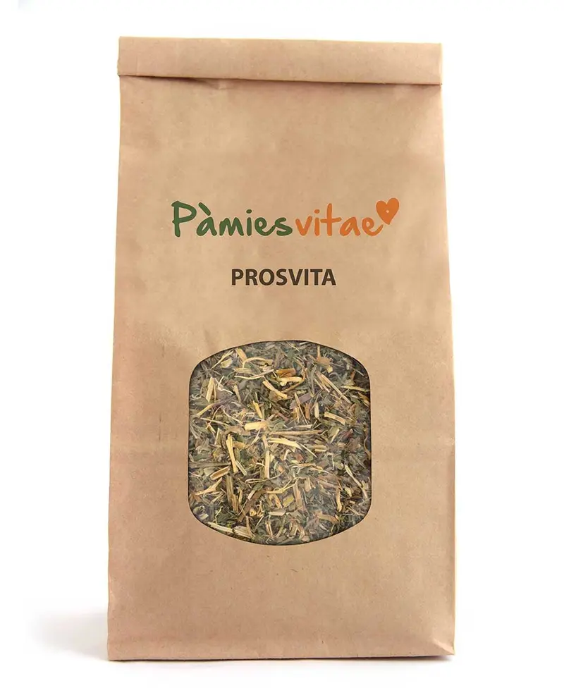 PROSVITA - PAMIES