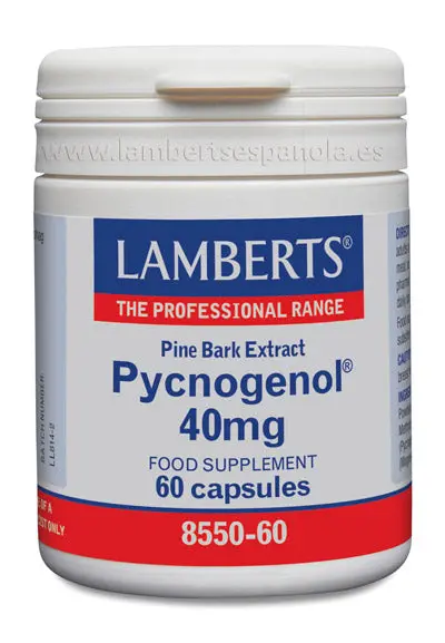 Pycnogenol® 40 mg es un Extracto de Corteza de Pino Marítimo