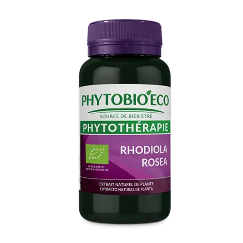 Rhodiola rosea biologique