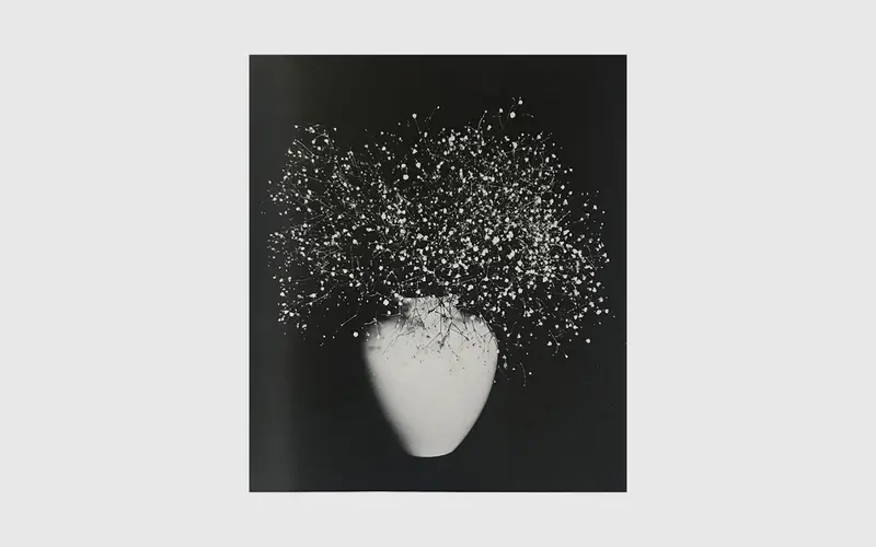ROBERT MAPPLETHORPE
